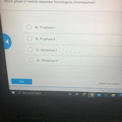 Which phase of meiosis separates homologous chromosomes?