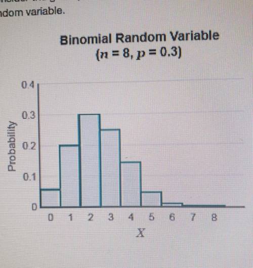 What are the center and shape of the distribution? Consider the given probability histogram of a bi