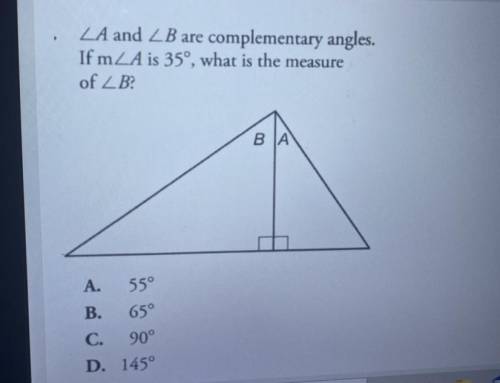 Someone please help! No link answer please :(