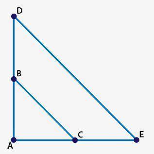 If angle A is congruent to itself by the Reflexive Property, which transformation could be used to