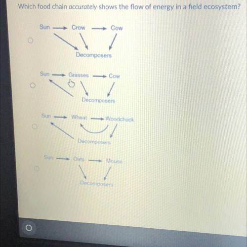 Which food chain accurately shows the flow of energy in a field ecosystem?

Sun - Crow - Cow
Decom