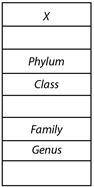 Living things have been organized into different categories to make it easier to identify them. Bel