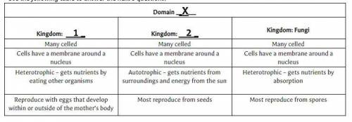 Based on the information in the table above, what Domain name should replace the X?

CHOICES
Archa