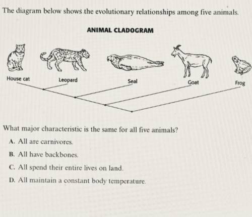 The diagram below shows the evolutionary relationships among five animals.

What Major characteris