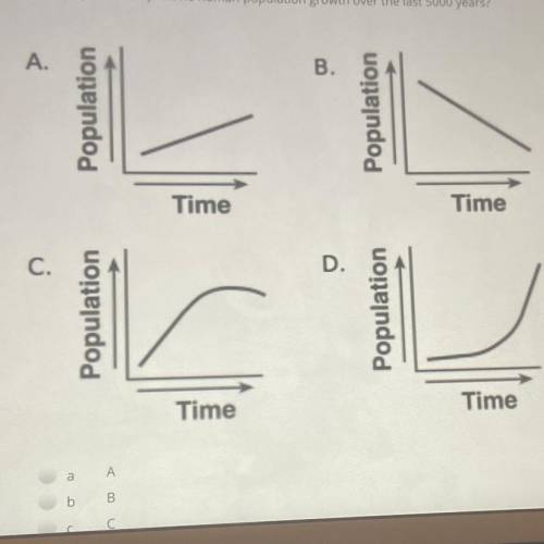 Which graph correctly shows human population growth over the last 5000 years?

HELP PLS NO LINKS O