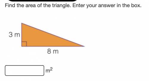 Find the area of the triangle. Enter your answer in the box.

A triangle with a base of eight mete