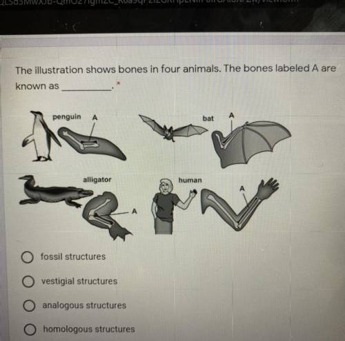 The illustration shows structures into animals these are known as??? helpp