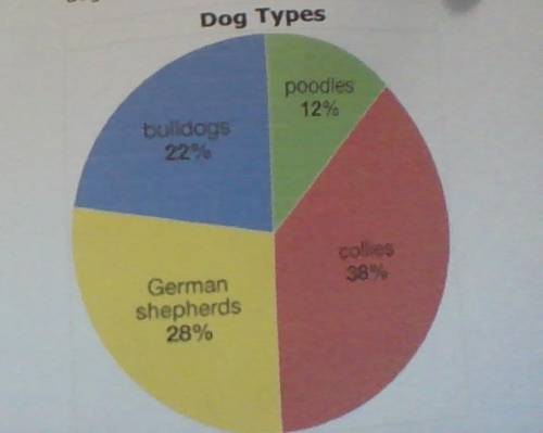 At a statewide adoption fair, a random sample of 200 dogs was taken to determine the different type