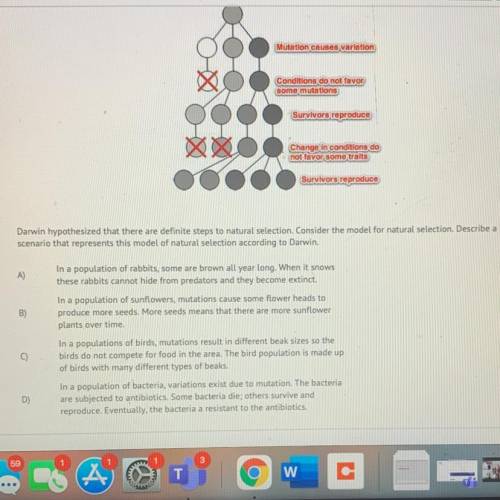 Darwin hypothesized that there are definite steps to natural selection. Consider the model for natu