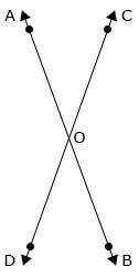 PLEASE HELP!! In the above figure, m∠AOC = 24° and m∠BOD = (2x + 35)°. If ∠AOC and ∠BOD are vertica