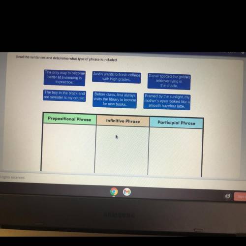 Drag each label to the correct location on the image.

 
Read the sentences and determine what type