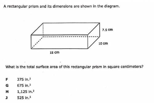 No link/pic just type answer pls.