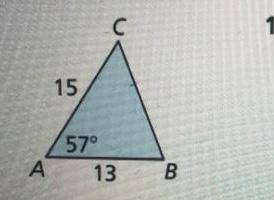 Find the area of the triangle. Round
your answer to the nearest tenth.