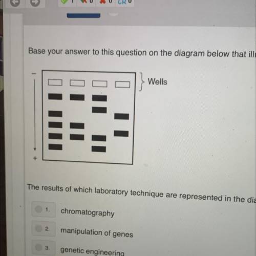 Base your answer to this question on the diagram below that illustrates the results of a laboratory