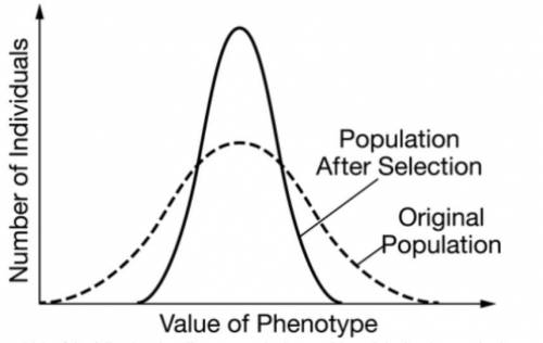 Which of the following describes a scenario that would result in the phenotypic change shown in the