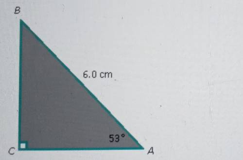 Angle Relationships

Solve the following right triangle
Determine all the missing sides and angles