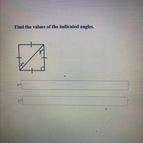 Solve for x and solve for y