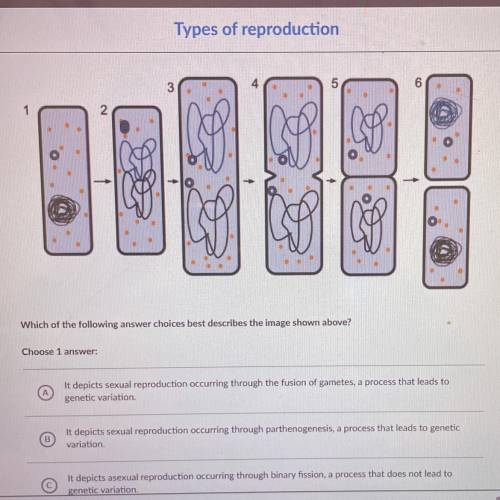 Which of the following answer choices best describes the image shown above?

Choose 1 
It d