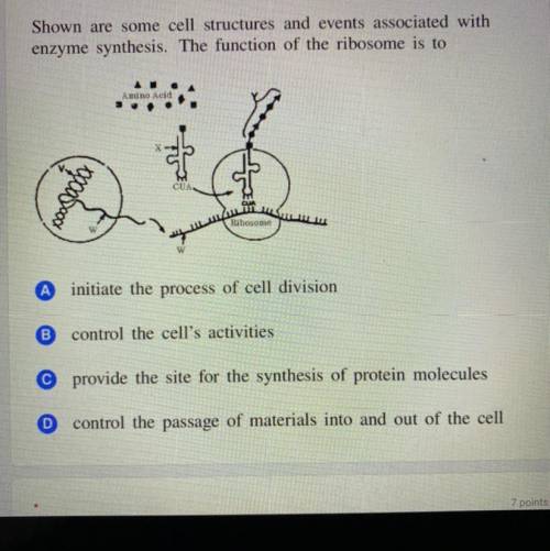 Shown are some cell structures and events associated with

enzyme synthesis. The function of the r