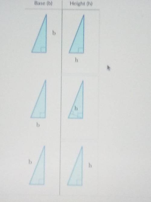 Please match the base to its corresponding height. NO LINKS