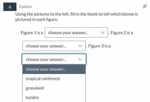 Help meeeeeeeeeeeeeeeeeeeeeeeeeeeeeeeeeeeeeeeeeeee

what is is figure 1 and figure 2 and figure 3?