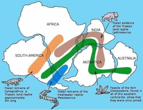 30 POINTS:: Above is a map that supports the idea that the continents were once joined together. So