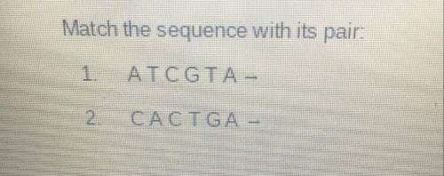 Match the sequence with its pair 
1. A T C G T A = 
2. C A C T G A =