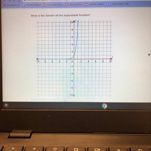 What is the domain of this exponential function?