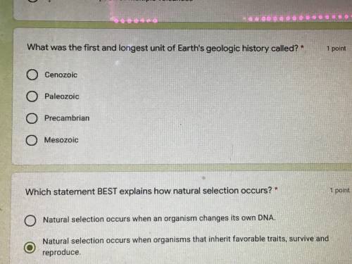 What was the first and longest unit of earths geologic history called?
