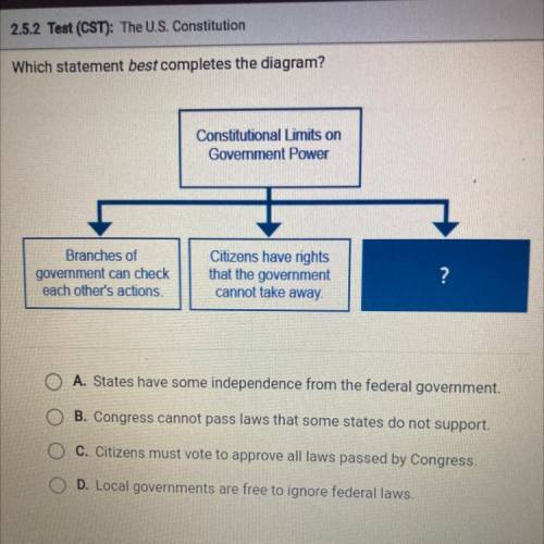 Which statement best completes the diagram?

Constitutional Limits on
Government Power
Branches of