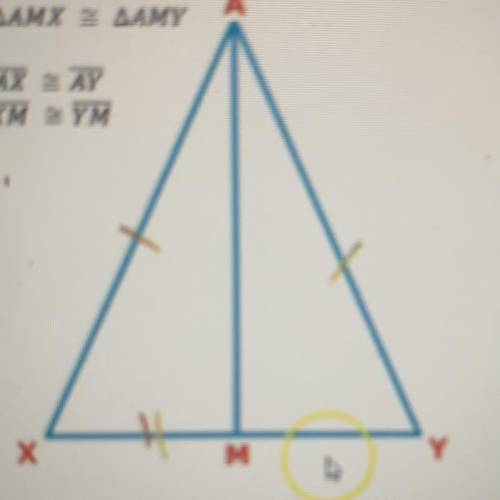Picture is above

The reason that /|AMX = /|AMY is what triangle congruence theorem 
SAS
SSS
AAS
A
