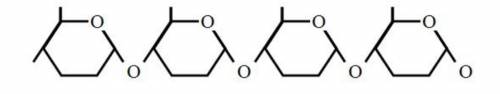 Examine the structural formula below.

Which of the following biomolecules is best represented by
