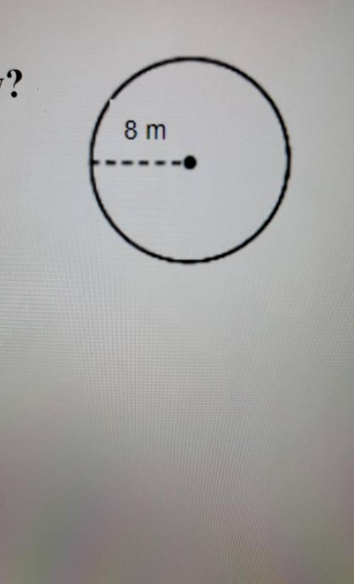 What is the circumference?​