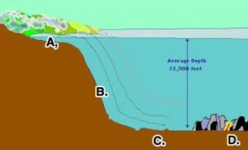 REPOST AGQIN SORRY!! In the picture of the ocean floor, letter C marks what feature?