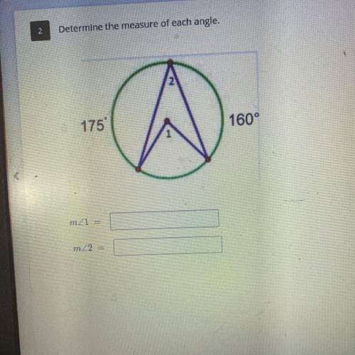 Determine the measure of each angle.