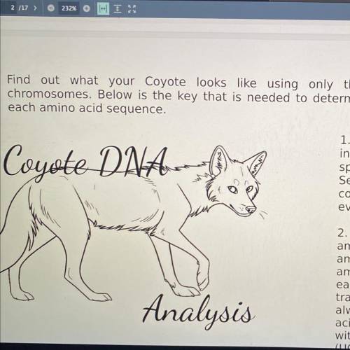 Find out what your Coyote looks like using only the DNA from your animal's

chromosomes. Below is