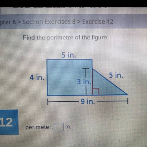 Find the perimeter of the figure (picture)