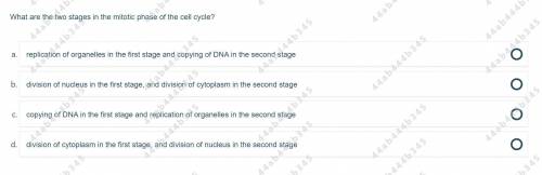 Help me please do this Question :)