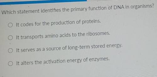Which statement identifies the primary function of DNA in organisms? 0 It codes for the production
