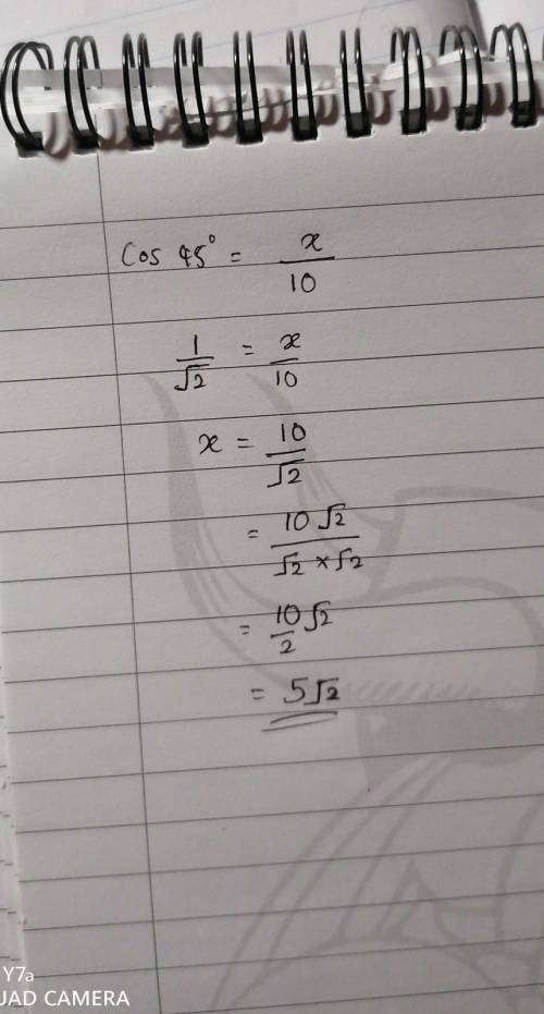 What is the value of x?