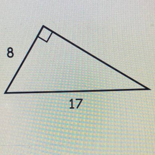 Find the missing length of the right triangle.