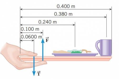 A lunch tray is being held in one hand, as the drawing illustrates. The mass of the tray itself is