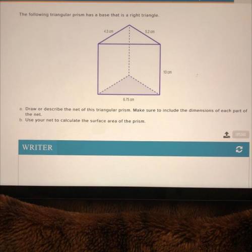 The following triangular prism has a base that is a right triangle.

Draw or describe the net of t