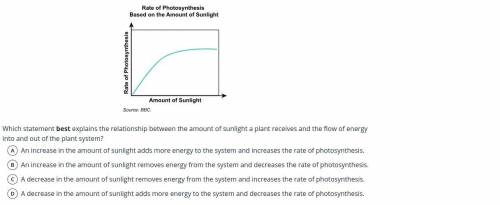Which statement best explains the relationship between the amount of sunlight a plant receives and