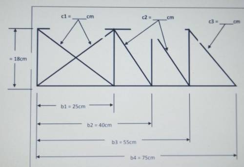 Using the pythagorean theorem, calculate the length of the missing sides (c1, c2, c3)​