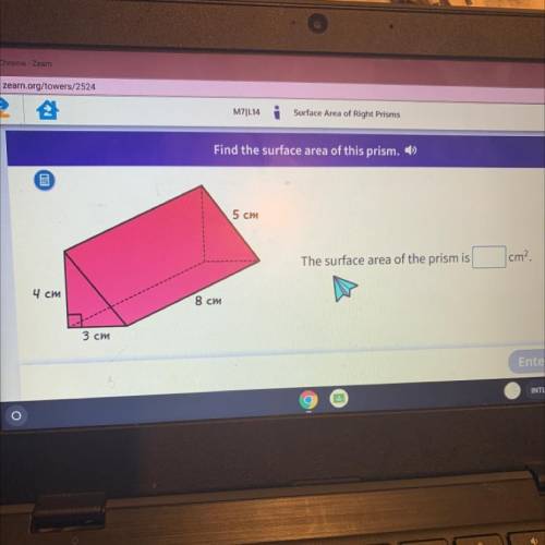 What’s the surface area to this?? I will mark brainlessly andwer