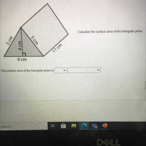 Please help calculate the surface area