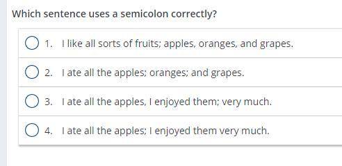 Which sentence uses a semicolon correctly