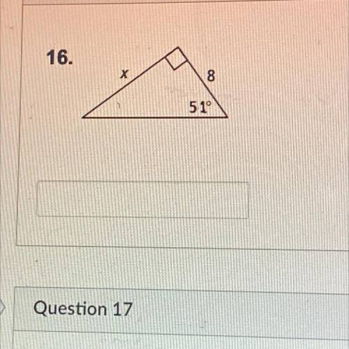 What is the value of x