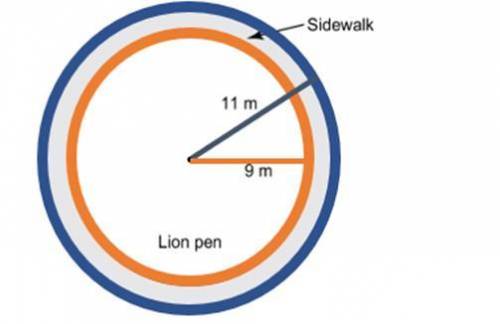 At a zoo, the lion pen has a ring-shaped sidewalk around it. The outer BLUE edge of the sidewalk is
